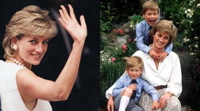 Princess Diana's revenge moment roars back into spotlight