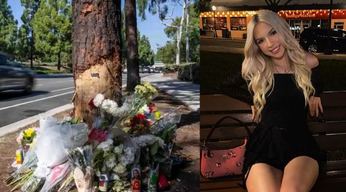Family of Alexis Kramer, killed in McLaren crash seeks help to bring her remains to Florida