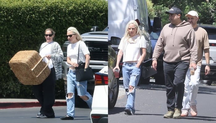 Lady Gaga gives rare glimpse into new mom-life