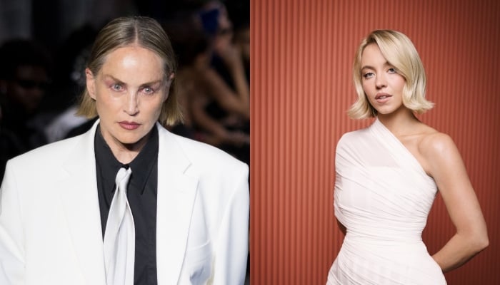 Sharon Stone makes bold dig at Sydney Sweeney