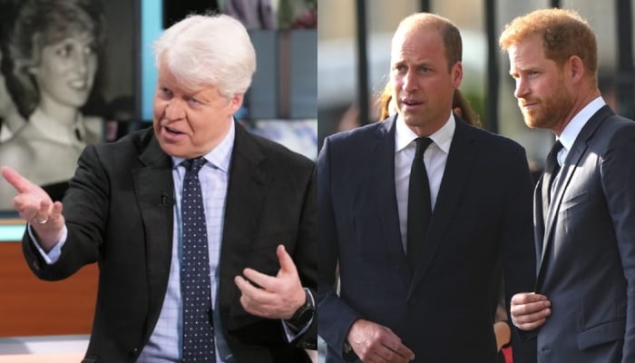 William, Harry joint response to Charles Spencer bombshell: Painful