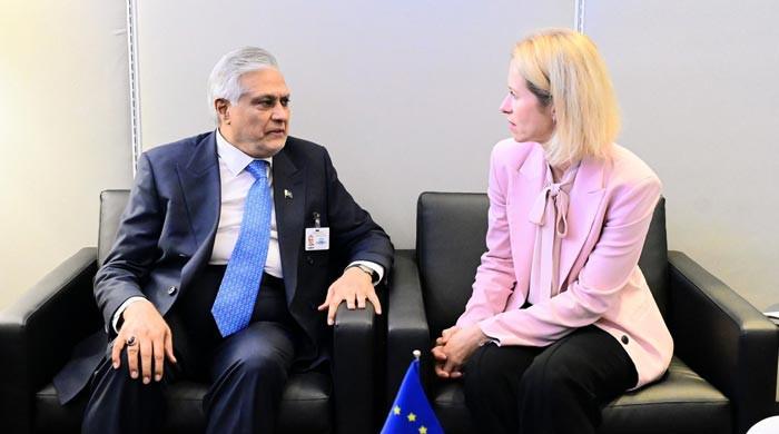 DPM Dar stresses GSP+ importance in meeting with EU top diplomat