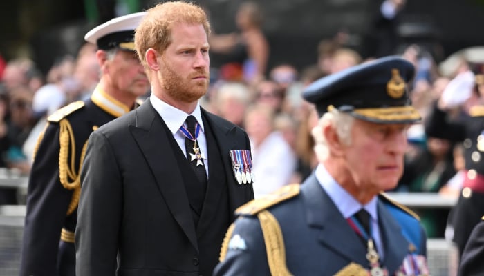 Prince Harry rings alarm bells for King Charles by siding with enemy
