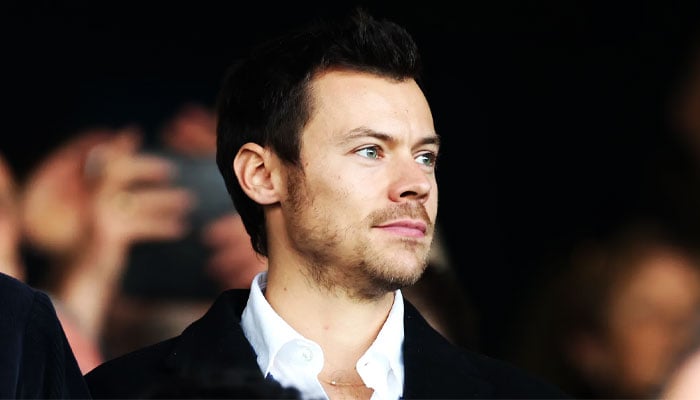Harry Styles ready to enter his ‘Daddy’ era?
