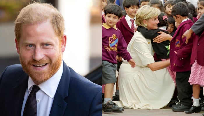 Prince Harry pays tribute to mother Diana as King Charles troubles grow