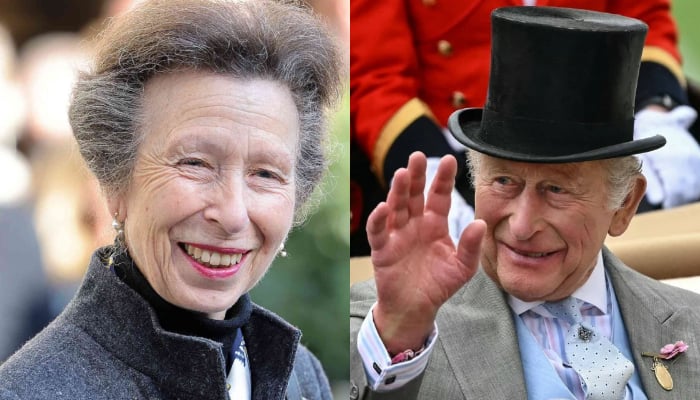 Princess Anne announcement in times of crisis gives relief to King Charles