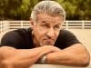 Sylvester Stallone says he rejected Trump's Hollywood envoy role