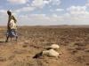 El Nino could cause 451,000 extra heat deaths: research