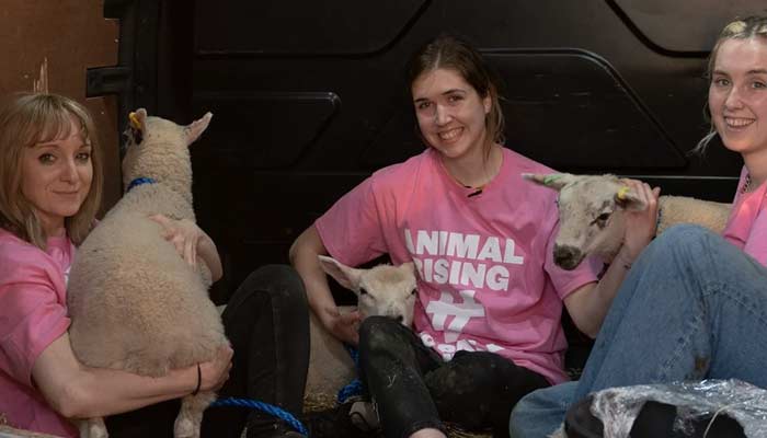 King Charles estate raid: Activists convicted for stealing lambs