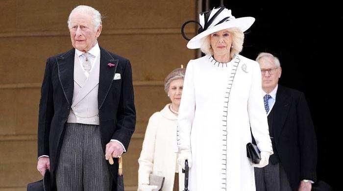 Senior royals step in for King Charles to strengthen relations amid crisis