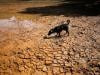 Explainer: What is a 'super El Nino' and how will it affect the weather?