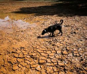Explainer: What is a 'super El Nino' and how will it affect the weather?