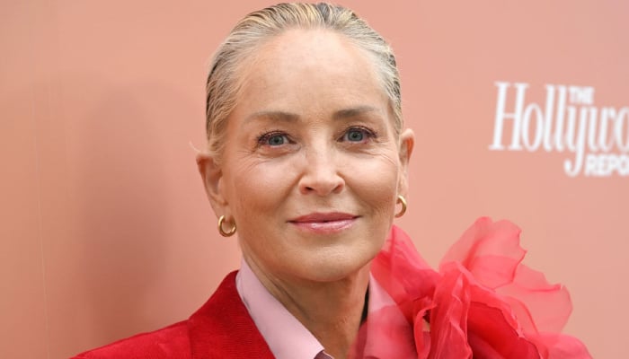 Sharon Stone delivers powerful apeech on moving past labels