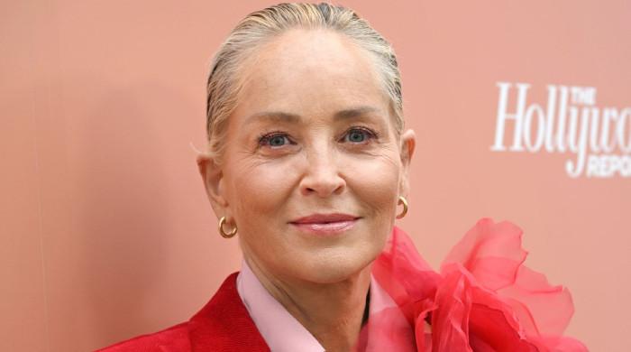 Sharon Stone delivers powerful speech on moving past labels