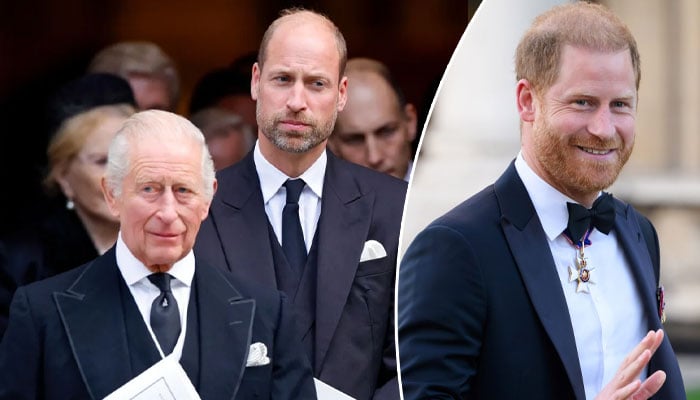 King Charles, Prince William ‘keeping tabs’ on Prince Harry engagements