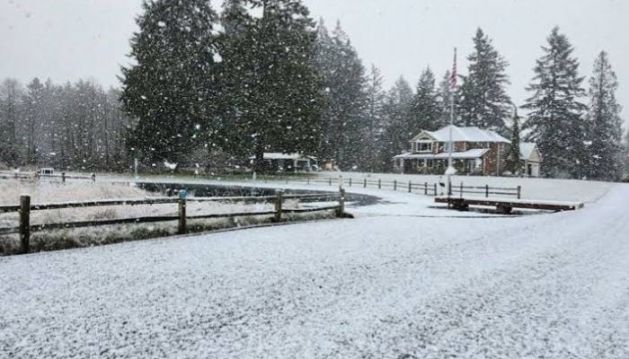 Snow forecast update: Which areas will be hit hardest?