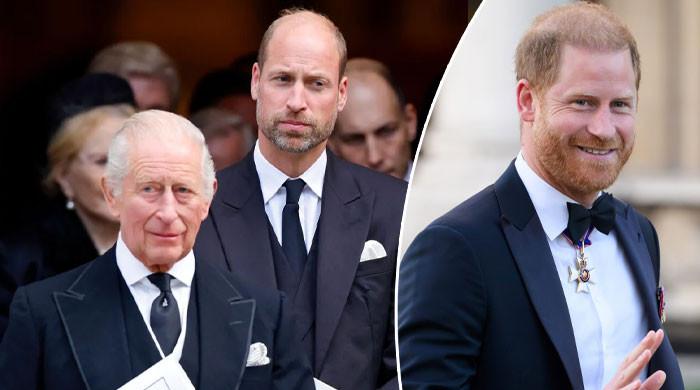 King Charles, Prince William ‘keeping tabs' on Prince Harry engagements