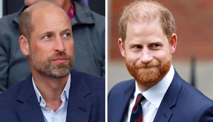 Princes William, Harry forced to cross paths on ‘uneasy matter: ‘truce