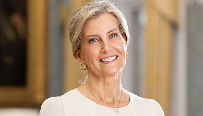 Duchess Sophies important Hague trip revealed as Prince Edward begins US tour
