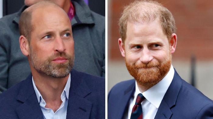 Princes William, Harry forced to cross paths on ‘uneasy' matter: ‘truce'