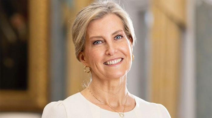 Duchess Sophie's important Hague trip revealed as Prince Edward begins US tour
