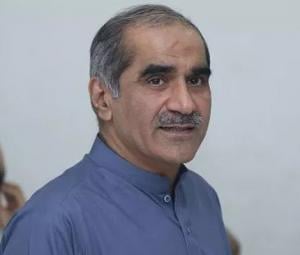 PML-N leader urges govt, protesters to rise above egos and hold talks