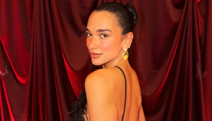 Dua Lipa shares official photos, videos from ‘big Albanian wedding’