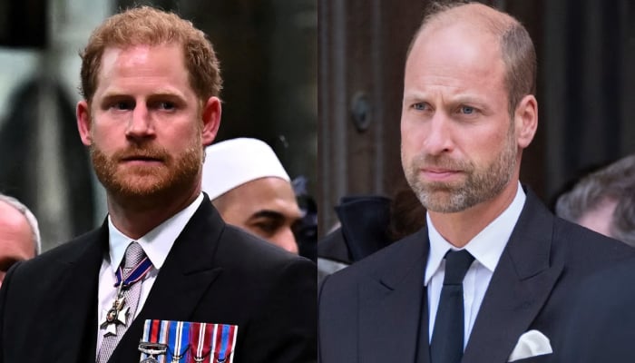 Prince William gives final answer on emotional reunion with Harry