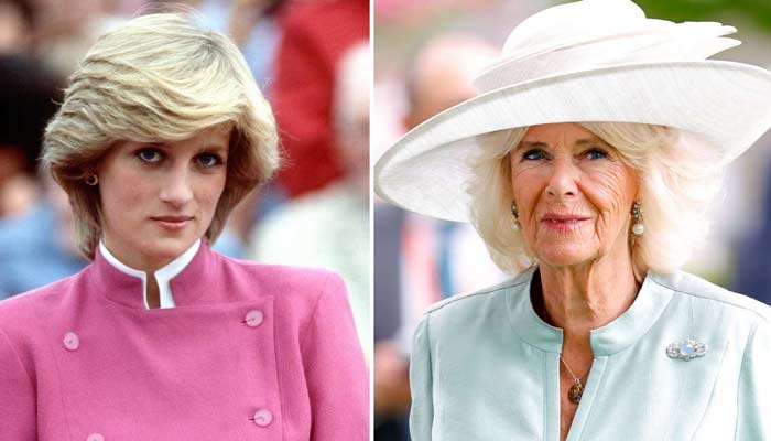 Prince Harry, Palace divided again ahead of Camilla-Diana milestones