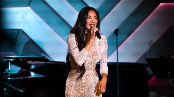 Nicole Scherzinger reveals painful burn suffered hour before concert