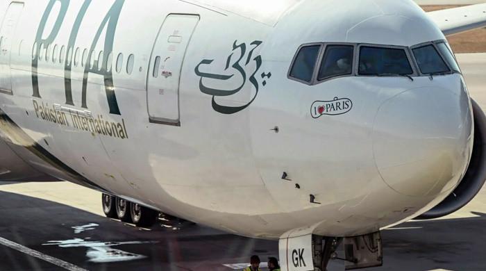 FinMin Aurangzeb's US Exim talks covered financing for Boeing aircraft, says adviser