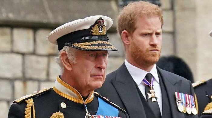 Prince Harry, Palace divided again ahead of Camilla-Diana milestones