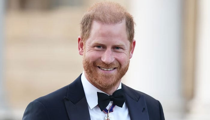 Prince Harry takes charge of special mission despite warning: ‘no hiding’