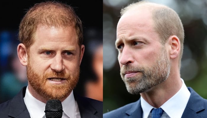 Prince Harry bruises Williams ego resulting in Palace blunder