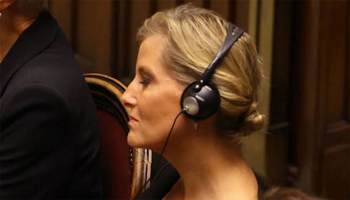 Duchess Sophie holds private video meeting after departing for major forum trip