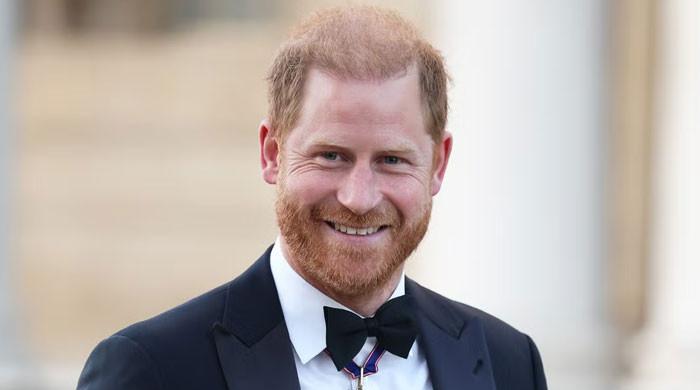 Prince Harry takes charge of special mission despite warning: ‘no hiding'