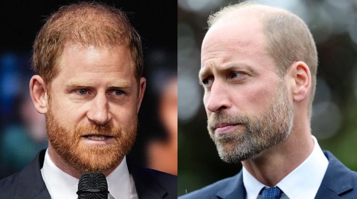 Prince Harry bruises William's 'ego' resulting in Palace blunder