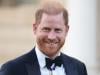 Prince Harry takes charge of special mission despite warning: ‘no hiding'