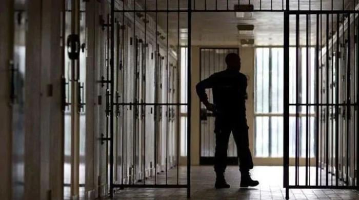 Court grants three-day physical remand of female suspect in Azeri woman rape case