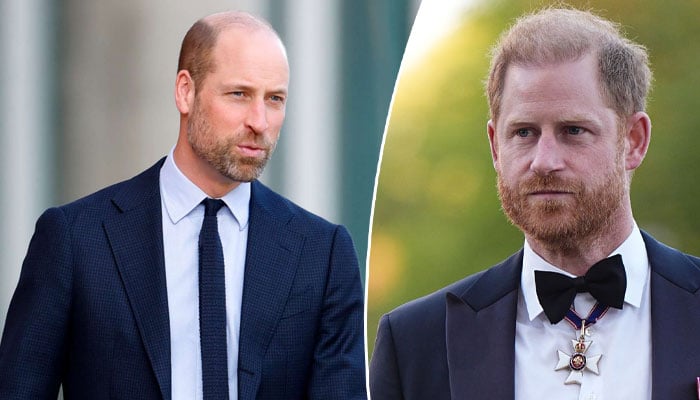 Prince William makes clever move as Prince Harry ‘stands in line of fire