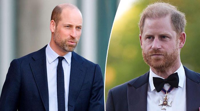 Prince William makes clever move as Prince Harry ‘stands in line of fire'