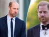 Prince William makes clever move as Prince Harry ‘stands in line of fire'