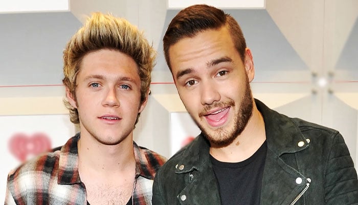 Liam Payne, Niall Horan fans revisit their final reunion two years later