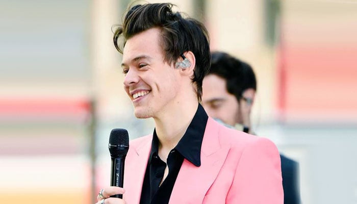Harry Styles melts hearts as fan congratulates him on mew MSG record