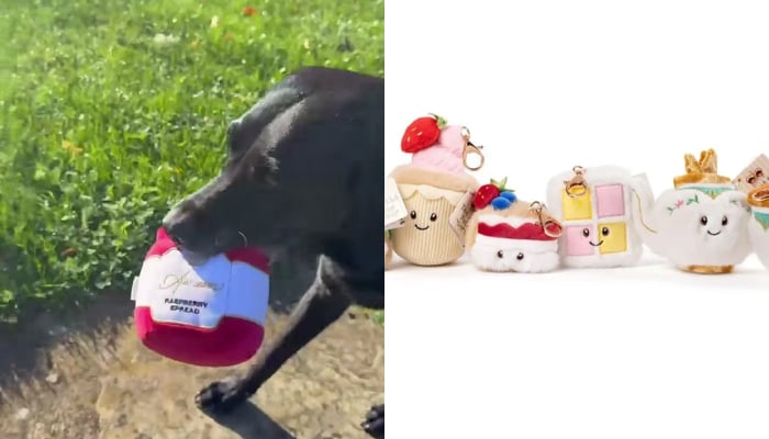Meghan sparks fury after King Charles inspiration spotted in new video