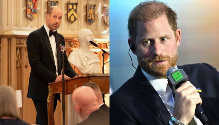 Palace drops statement on Williams military role as Harry misses army life