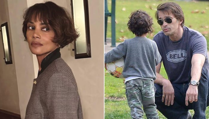 Judge orders Halle Berry to stay away from ex and son over abuse claims