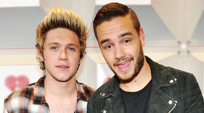 Liam Payne, Niall Horan fans revisit their final reunion two years later 