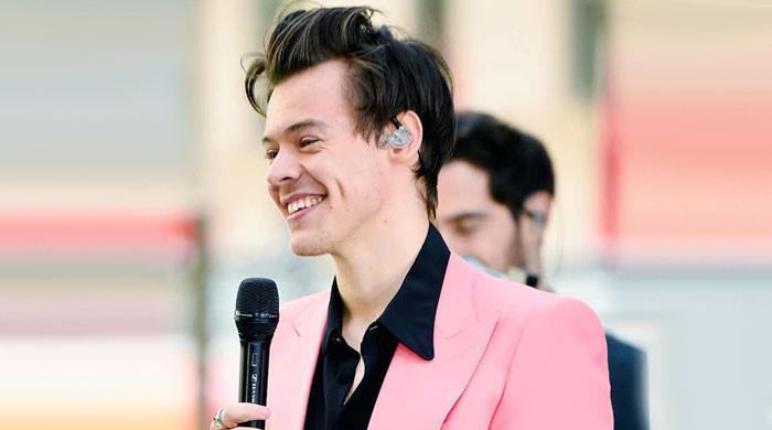 Harry Styles melts hearts as fan congratulates him on mew MSG record