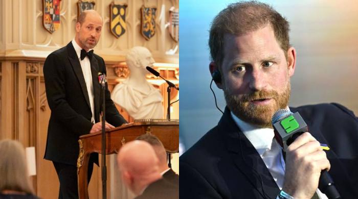 Palace drops statement on William's military role as Harry misses army life